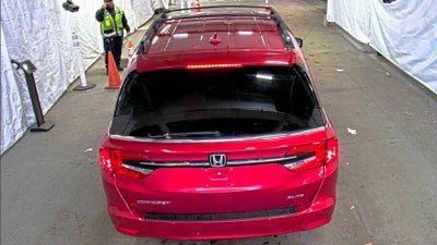 2023 Honda Odyssey Elite