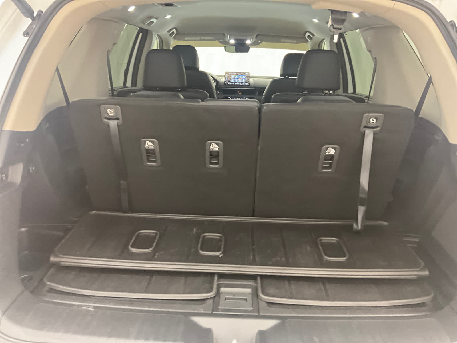 2024 Honda Pilot EX-L 8 Passenger