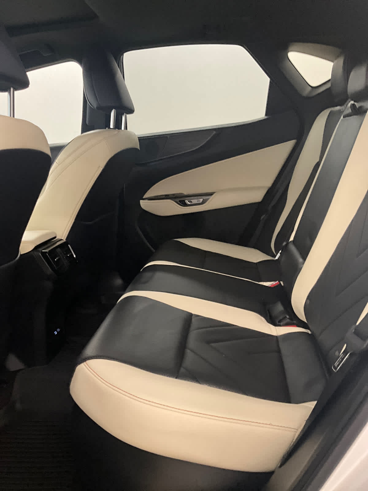 2024 Lexus NX 450h+ Luxury