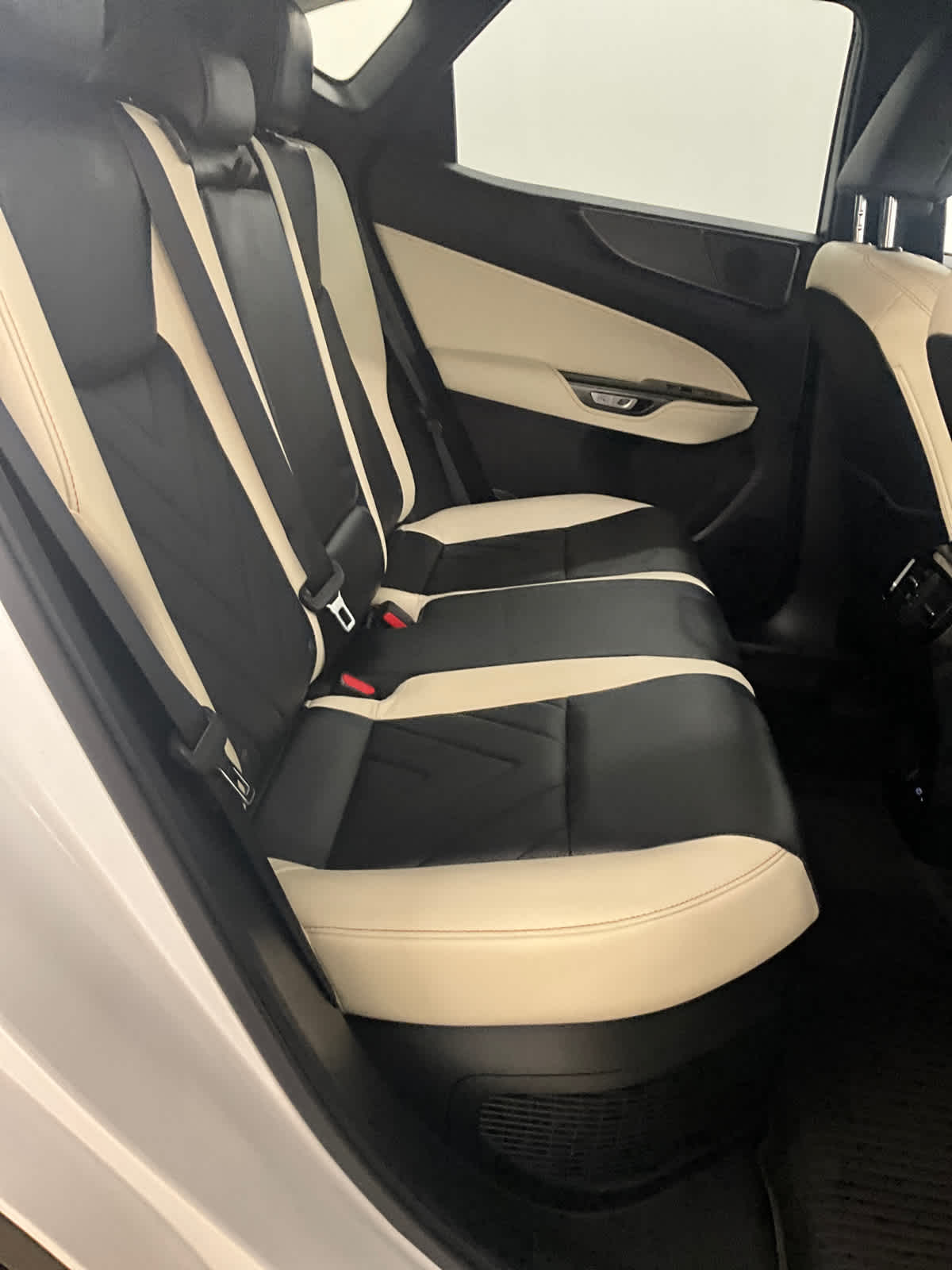 2024 Lexus NX 450h+ Luxury