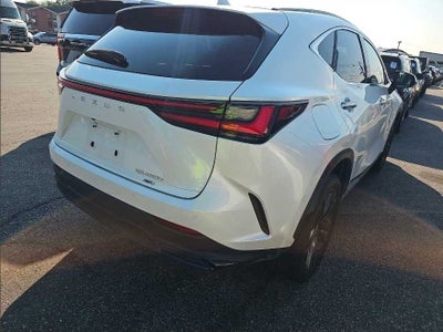 2024 Lexus NX 450h+ Luxury