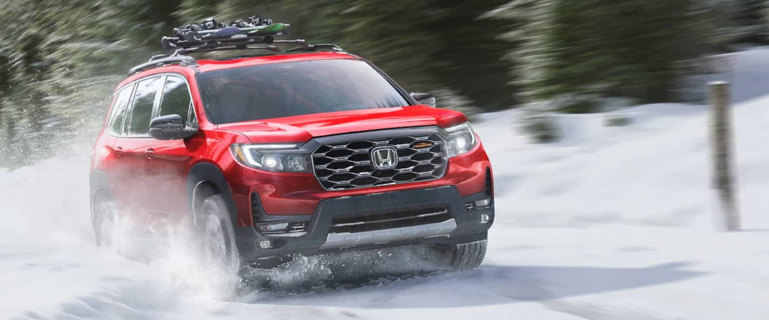 The New 2023 Passport