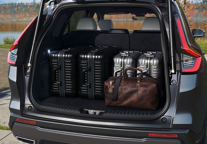 the cargo space of an suv